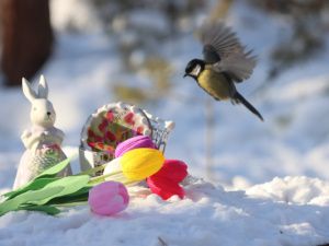 Как отдыхаем 8 марта: Действуют другие правила