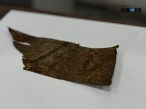 В Якутске началась оцифровка фрагментов берестяных грамот XVII–XVIII веков