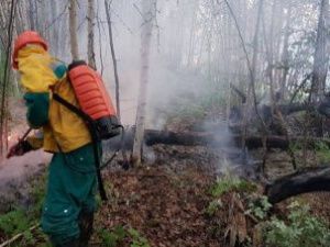 10 июля в Якутии тушат 17 лесных пожаров