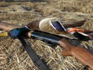 Мужчина, инфицированный коронавирусом, приехал на охоту в село Хангаласского улуса