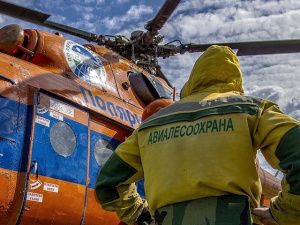 До 2,7 миллиардов увеличат федеральное финансирование на охрану лесов от пожаров в Якутии