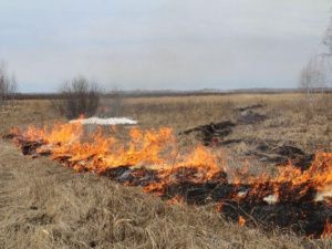 За ущерб от лесного пожара на 241 рубль, якутянина оштрафовали на 50 тысяч и взыскали расходы на тушение в 190 тысяч рублей