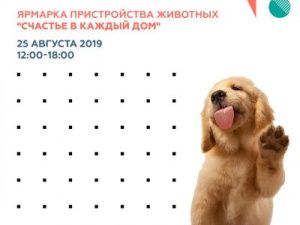 В Якутске состоится ярмарка бездомных животных