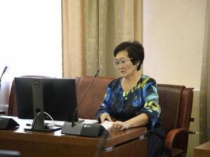 Депутаты Ил Тумэн поддержали программу города Якутска по газификации