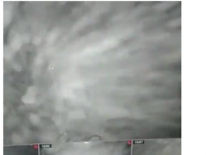 Шокирующий вихрь мошкары сняли в Якутии