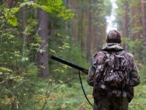 31 августа завершается прием заявлений от участников жеребьевки, выигравших разрешения на охоту