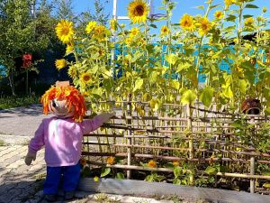 Награждение победителей конкурса "Зеленый кубок столицы 2025" прошло в Парке Победы