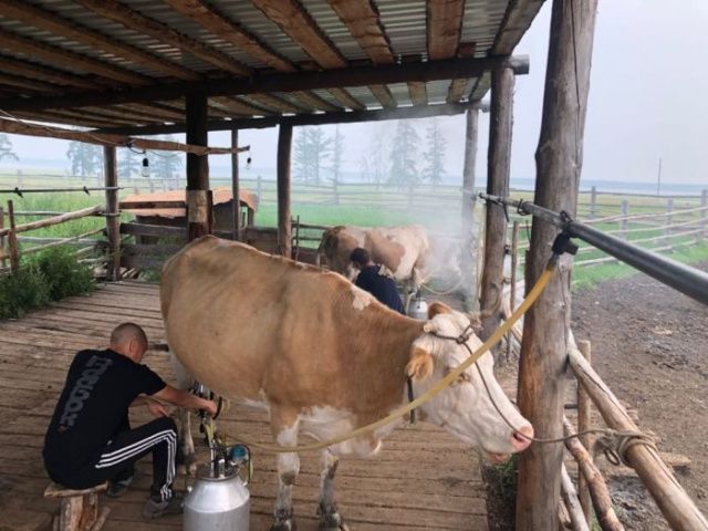 Бывший наркоман: Половина друзей умерли, часть сидит, а те, кто еще жив и на свободе, так и продолжают «торчать»