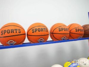 Конный спорт, баскетбол и большой теннис на пике популярности у дальневосточников