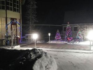 Фотофакт: Новогодний декор от легенды якутской эстрады Екатерины Егоровой