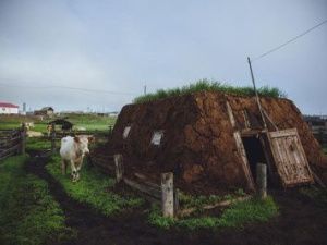 Сардана Авксентьева: Чувствуете весну в воздухе?
