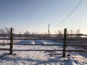 В селе Хатассы завершается обустройство «штрафстоянки» для лошадей