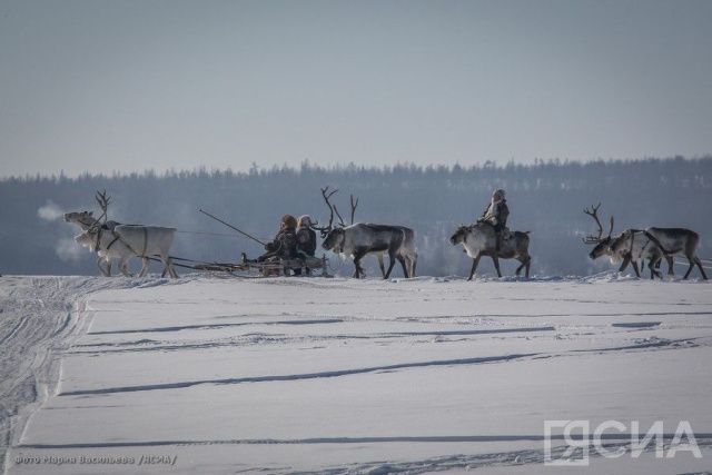 В Госдуму внесли проект об оплате дороги в отпуск многодетным Крайнего Севера