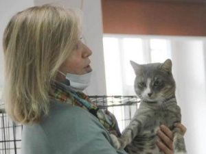 Бездомные животные ищут хозяев