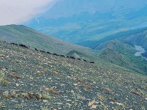 Итоги онлайн фотоконкурса "В объективе: Просторы Якутии" 