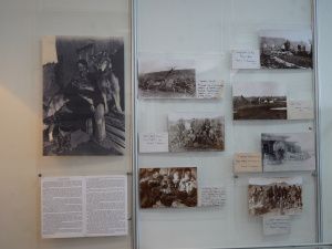 Открылась межрегиональная выставка «Мир Арктики»