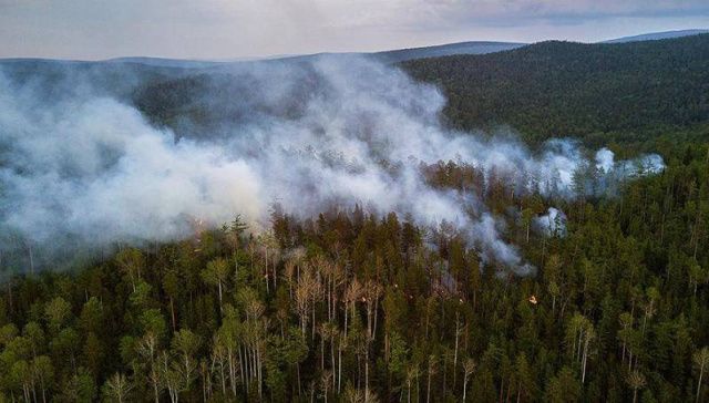 Площадь лесного пожара возле Якутска увеличилась на 70 га