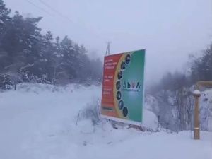 В Якутске «Лексус» съехал с дороги в сугроб и перевернулся