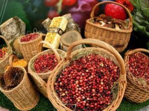 В Якутии установили сроки начала сбора ягод и грибов