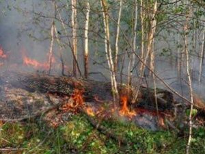 В пострадавшие районы Якутии направят более 26 миллионов рублей