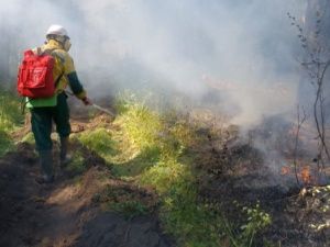 В Олёкму на тушение лесных пожаров снова направляется авиация
