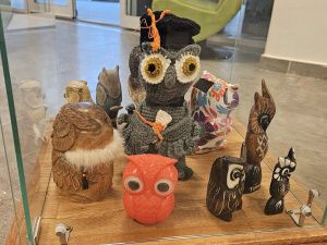 В SMART-библиотеке Якутска открылась выставка, посвященная совам и филинам