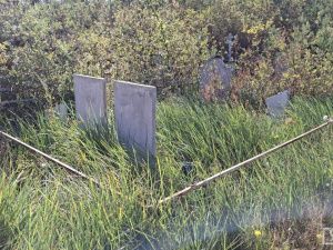 Контроль за работами, ровные ряды и благоустройство территории: что изменится на кладбищах Якутска