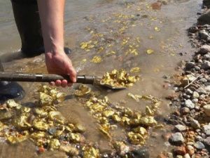 Подробности о краже более 1 центнера золота в «Урочище Сайлык»