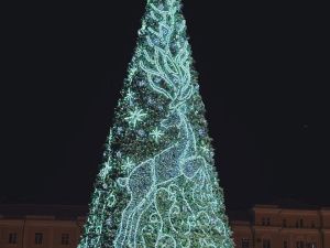 В Якутске зажгли огни первой новогодней ёлки