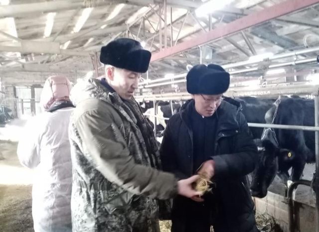 С муниципального животноводческого комплекса потребовали взыскать 82 млн рублей в счет возмещения вреда экологии