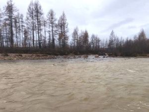 Золотая жила для одних, грязная вода для других