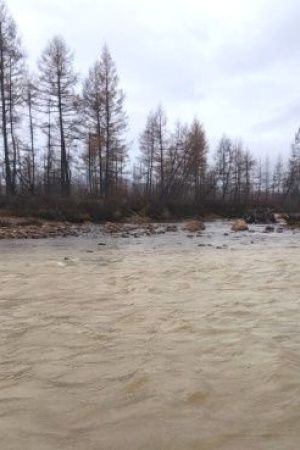 Золотая жила для одних, грязная вода для других