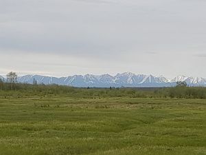 Наткнулся на медведя, потерял лошадь: Пропавшего в тайге мужчину нашли живым