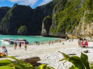 В Таиланде объявлена эпидемия лихорадки денге. Якутян предупреждают об опасности