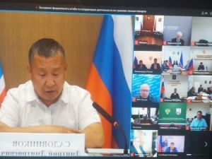 Охраняемую зону лесов в стране больше всех увеличила Якутия