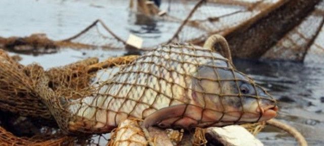 Житель Якутии выплатит крупный штраф на незаконный вылов рыбы