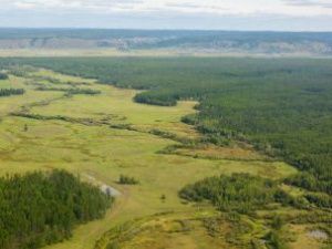 В Якутии тушат один лесной пожар, за прошедшие сутки ликвидировано 14
