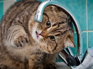 Плановые отключения энергоресурсов в Якутске 18 апреля