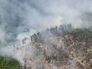 Колодезников: в Якутии завтра закроют пожароопасный сезон в землях лесного фонда