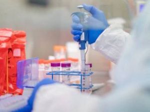 Подтверждение анализов женщины, прибывшей из Нидерландов, ожидается завтра к вечеру