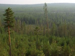 Фрагменты ракеты-носителя «Союз-2.1б» упадут в Якутии — запуск 22 октября