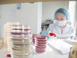 В клинике СВФУ можно сдать анализ крови на антитела к COVID-19 двух классов: М и G