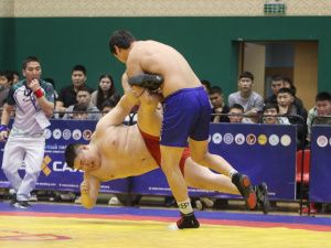 Абсолютными чемпионами Якутии по хапсагаю среди юниоров стали Сергей Николаев и Андриан Ленский