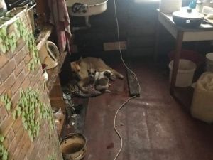 В Якутске из неблагополучной семьи изъяли детей