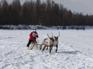 День оленевода отметили в селе Иенгра Якутии