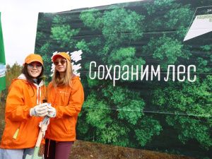 Сохраним лес: В пригороде Якутска высадили более тысячи саженцев деревьев