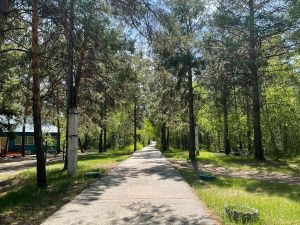 Днем 20 июля в Якутске ожидается дождь  