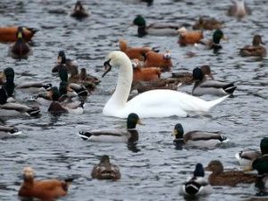 В Гидрометцентре назвали регионы, которые окажутся в аномальной зоне тепла. Якутия в их числе