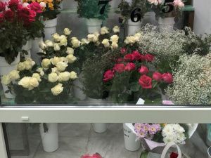 Цветы Эдема расцвели в снежном Алдане