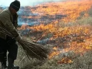МЧС выявило еще одного виновника пожара в Кобяйском районе. Ведомство предлагает за информацию о "сельхозпальщиках" вознаграждение